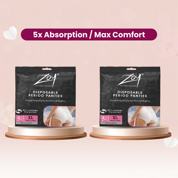 Disposable Period Panties XL Combo
