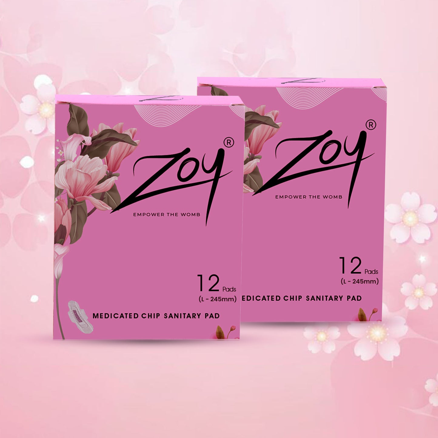 Graphene Sanitary Pad Light Flow Combo