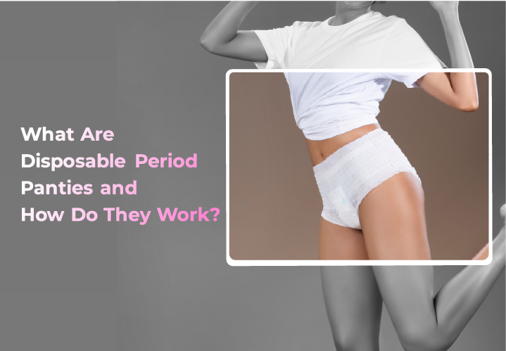 Period Panties Disposable