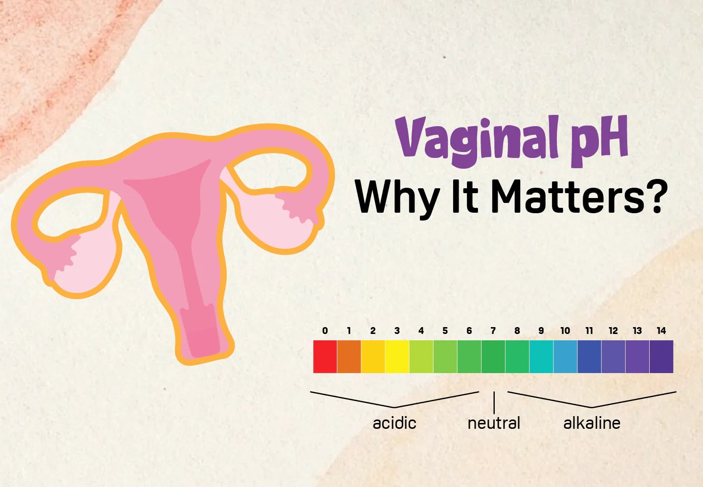 Illustration explaining vaginal pH balance, period health, infection prevention, and maintaining intimate wellness.