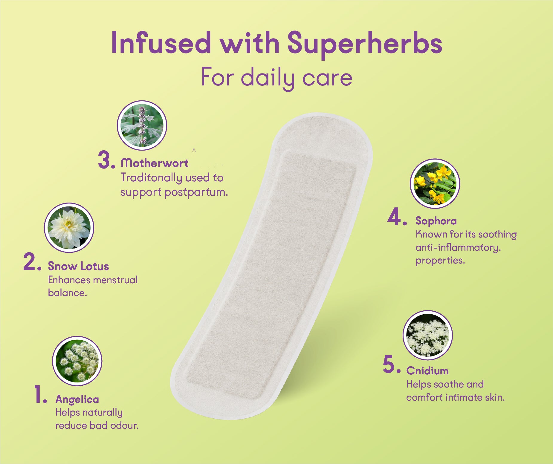Herbal Wellness Liners