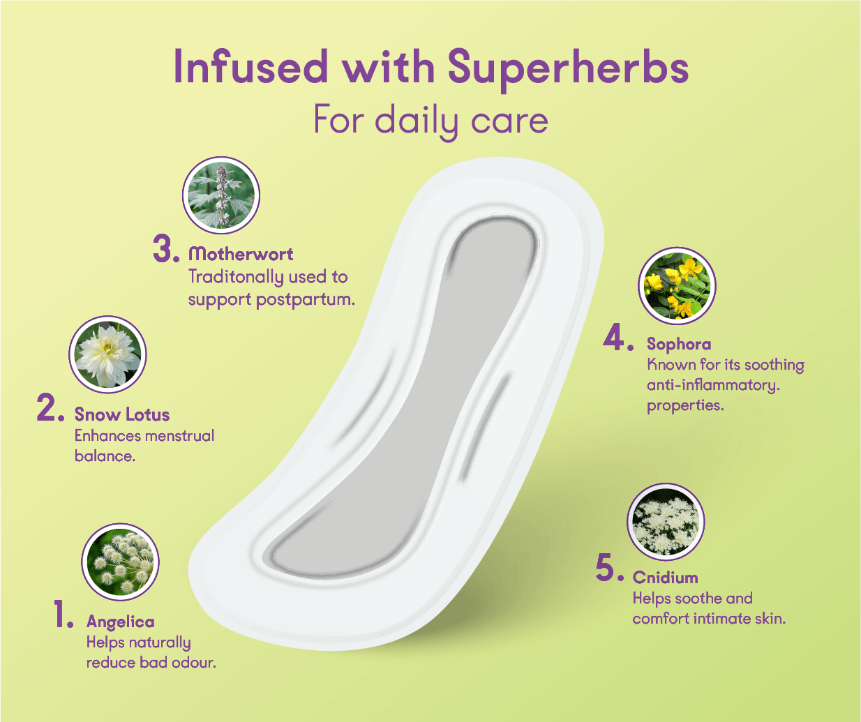 Herbal Wellness Liners