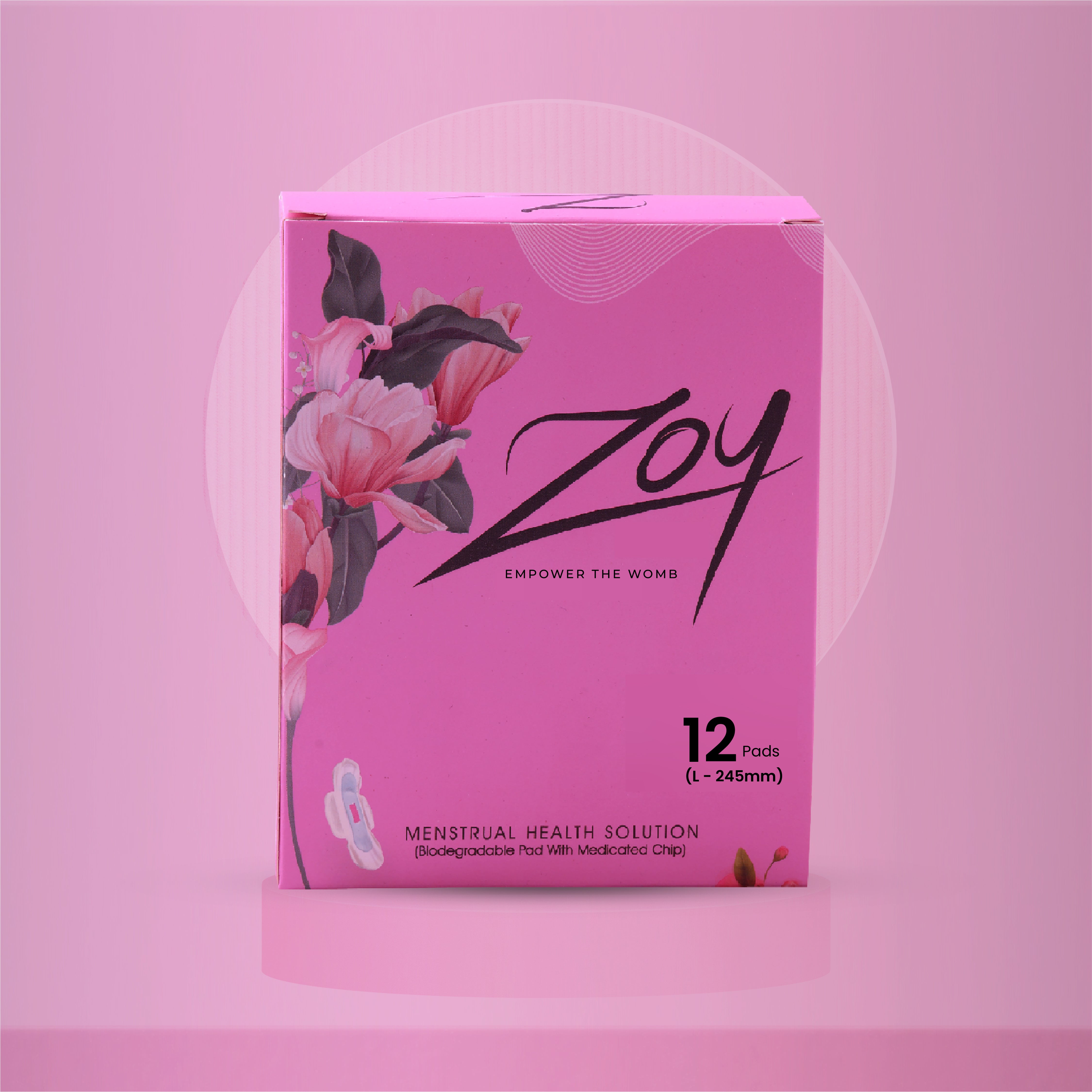 GRAPHENE ANION SANITARY PAD