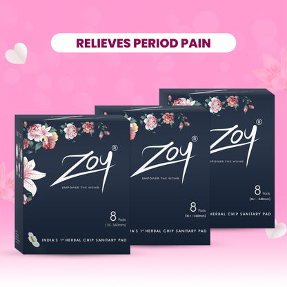 Herbal Sanitary Pad Heavy Flow Combo