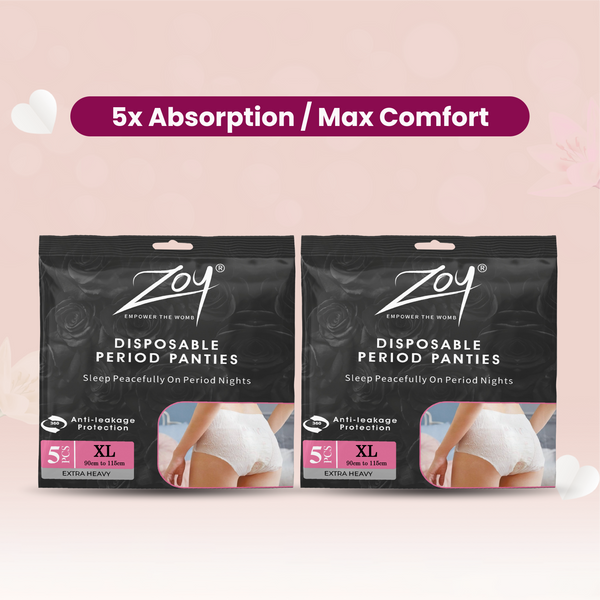 Disposable Period Panties XL Combo