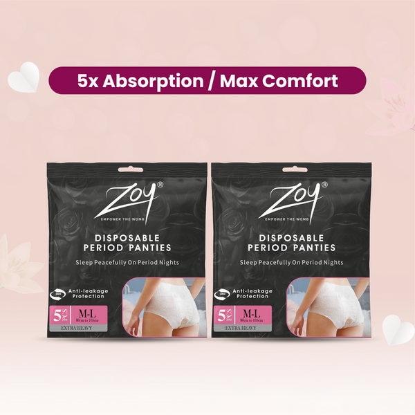 Disposable Period Panties M - L Combo